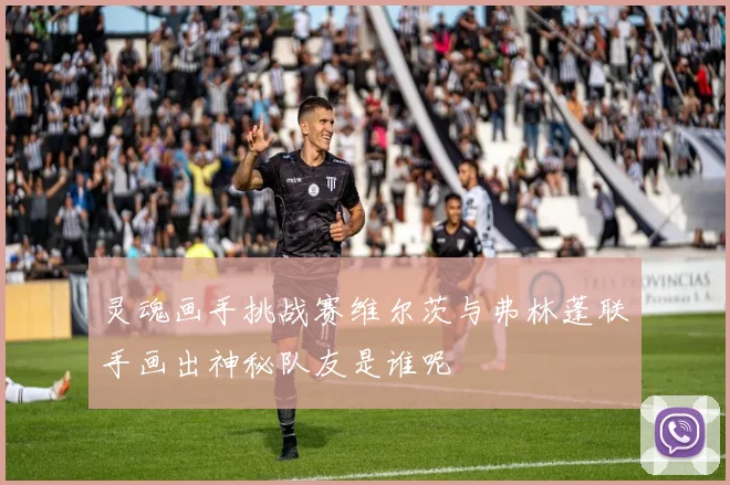 灵魂画手挑战赛维尔茨与弗林蓬联手画出神秘队友是谁呢