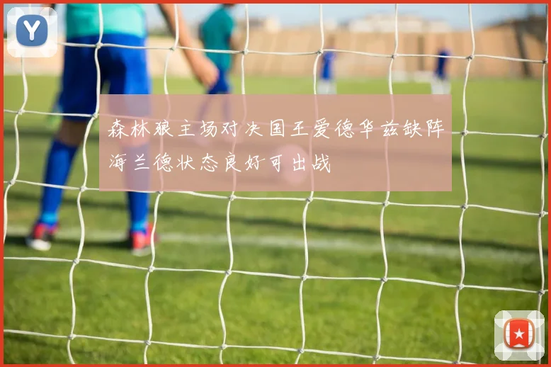 森林狼主场对决国王爱德华兹缺阵海兰德状态良好可出战